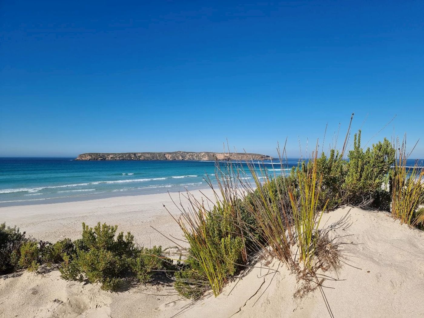 Tour South Coffin Bay - Oyster, Off-road Sightseeing 4WD Full-day Tour