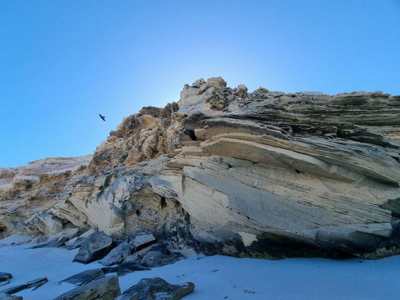 Tour South Coffin Bay - Oyster, Off-road Sightseeing 4WD Full-day Tour