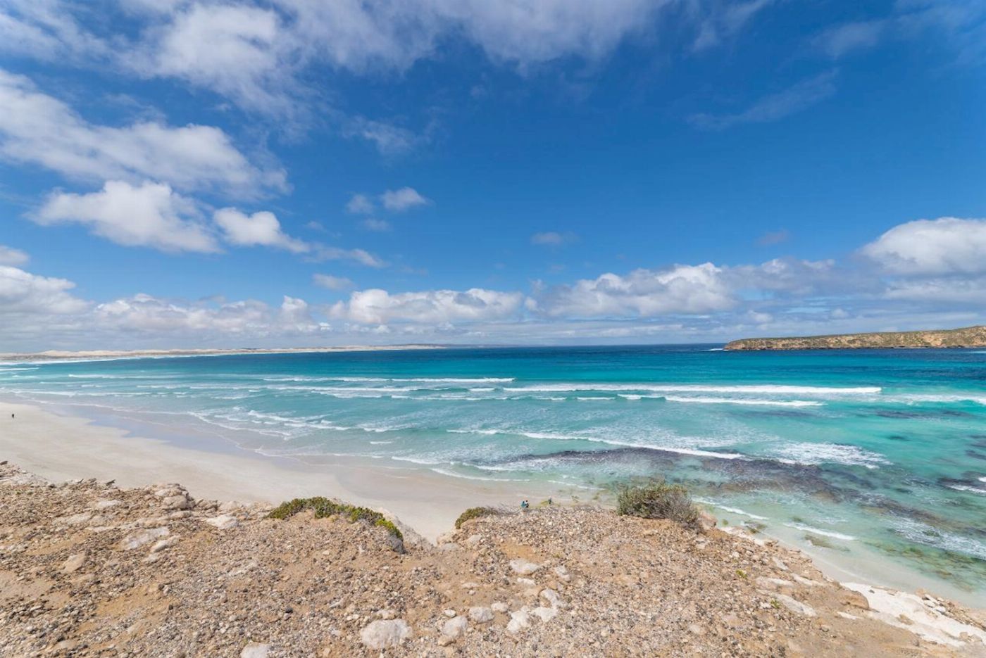 Tour South Coffin Bay - Oyster, Off-road Sightseeing 4WD Full-day Tour