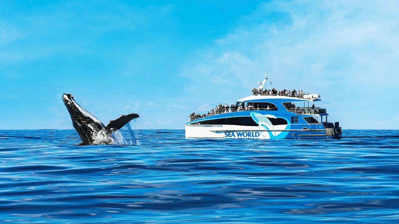 Sea World Cruises Seaworld Cruises - Whale Watch