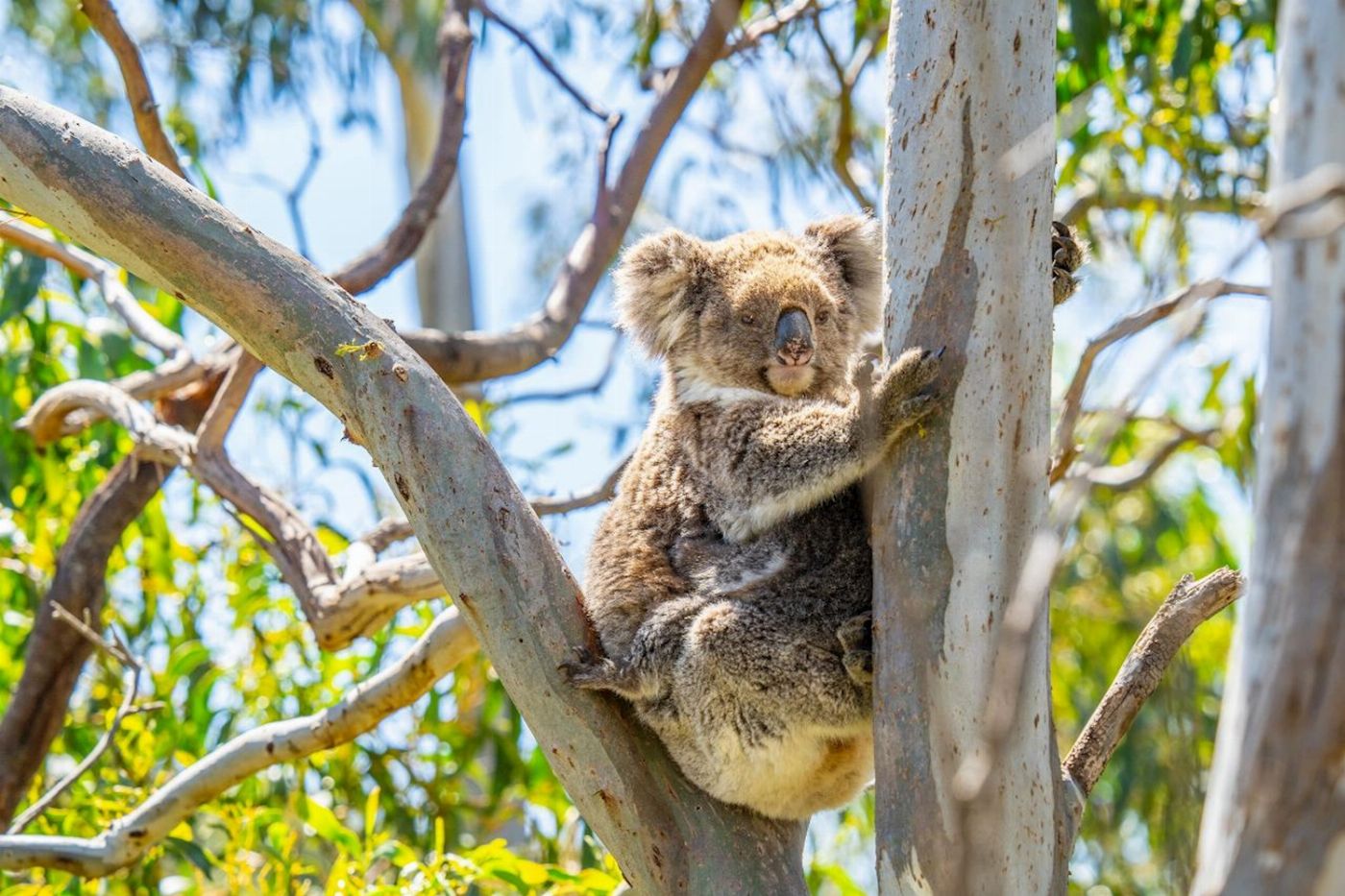 Tour South Port Lincoln - Wildlife, Sightseeing & 4WD Tour
