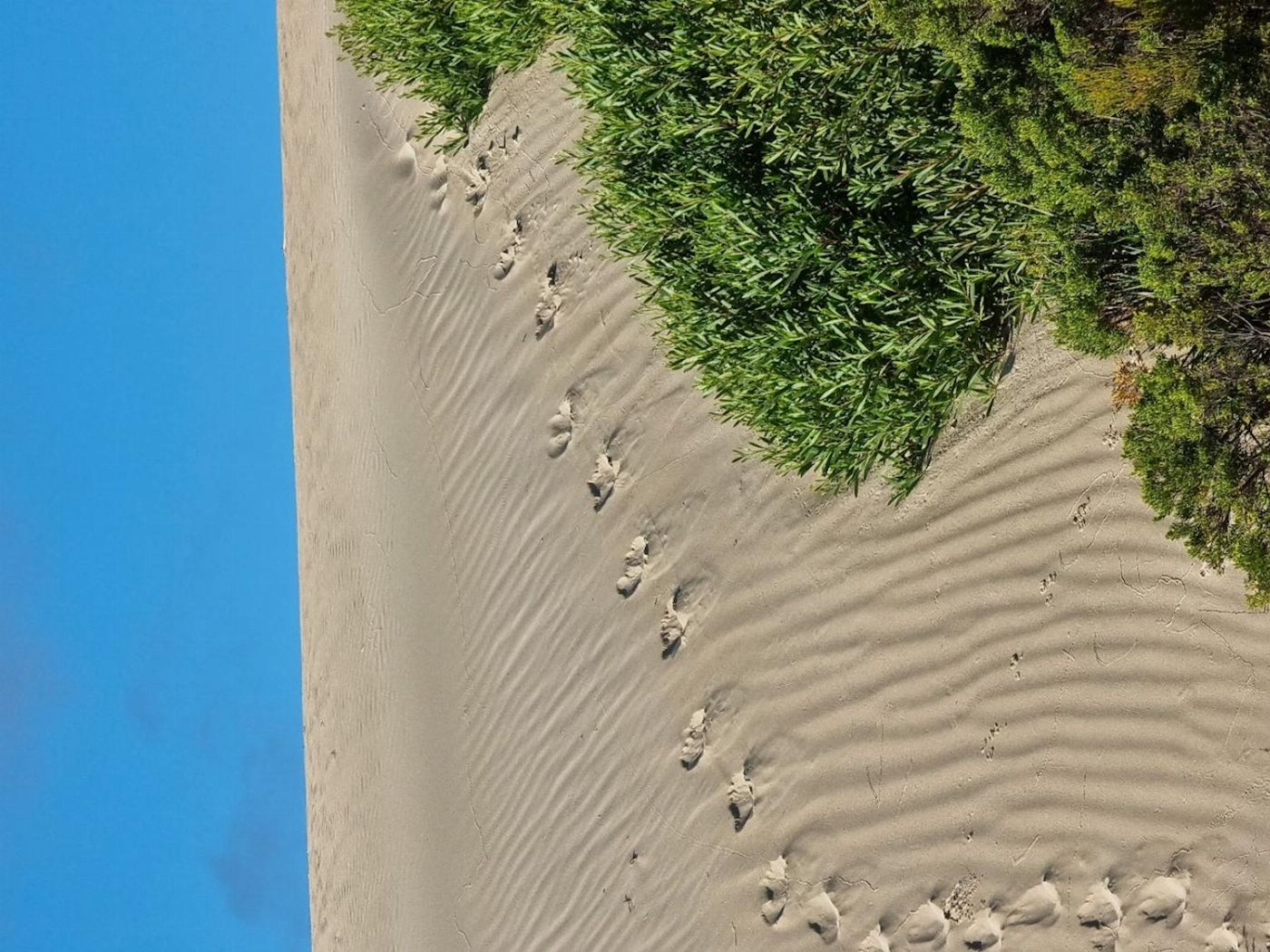Tour South Port Lincoln National Park Sightseeing & Off-road Tour