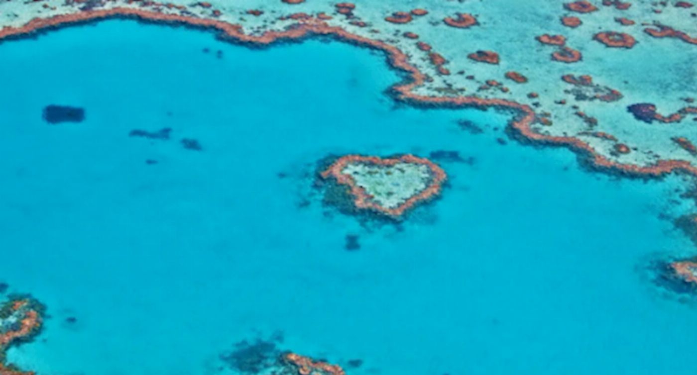 Get Out & About Whitsunday Fishing Shared Charter 6 Hours