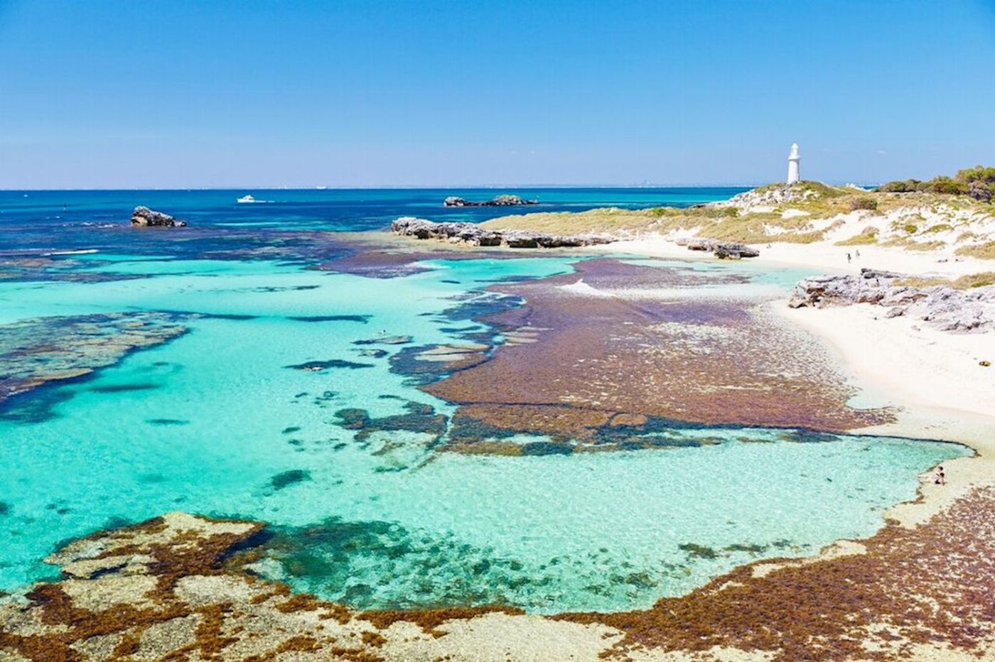 Sealink WA Rottnest Bayseeker Package (11:15am)
