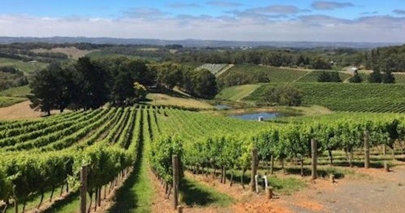 Hills Luxury Day Tours Adelaide Hills Divine Wine Tour
