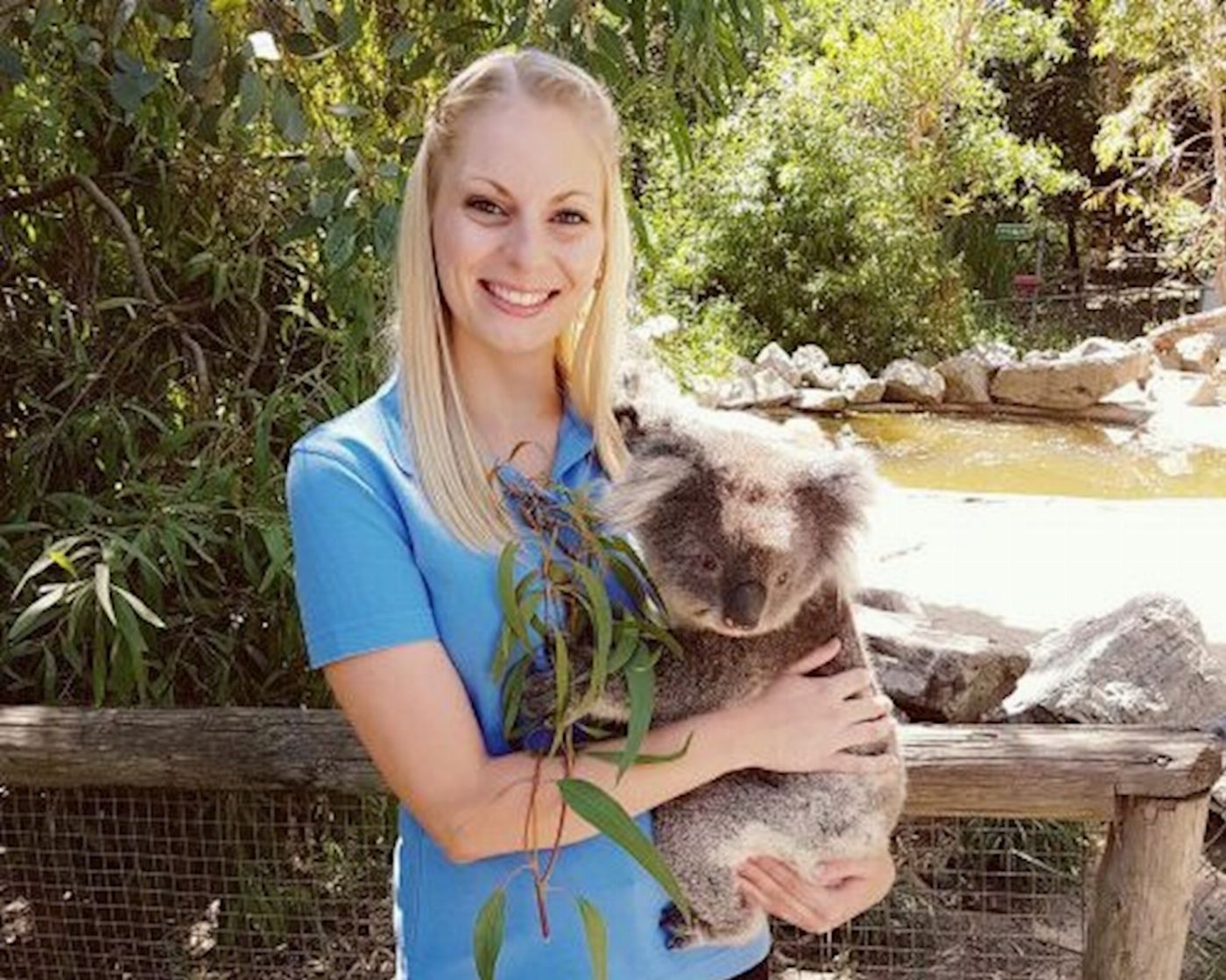Hills Luxury Day Tours Cuddle a Koala and Historic Hahndorf Tour