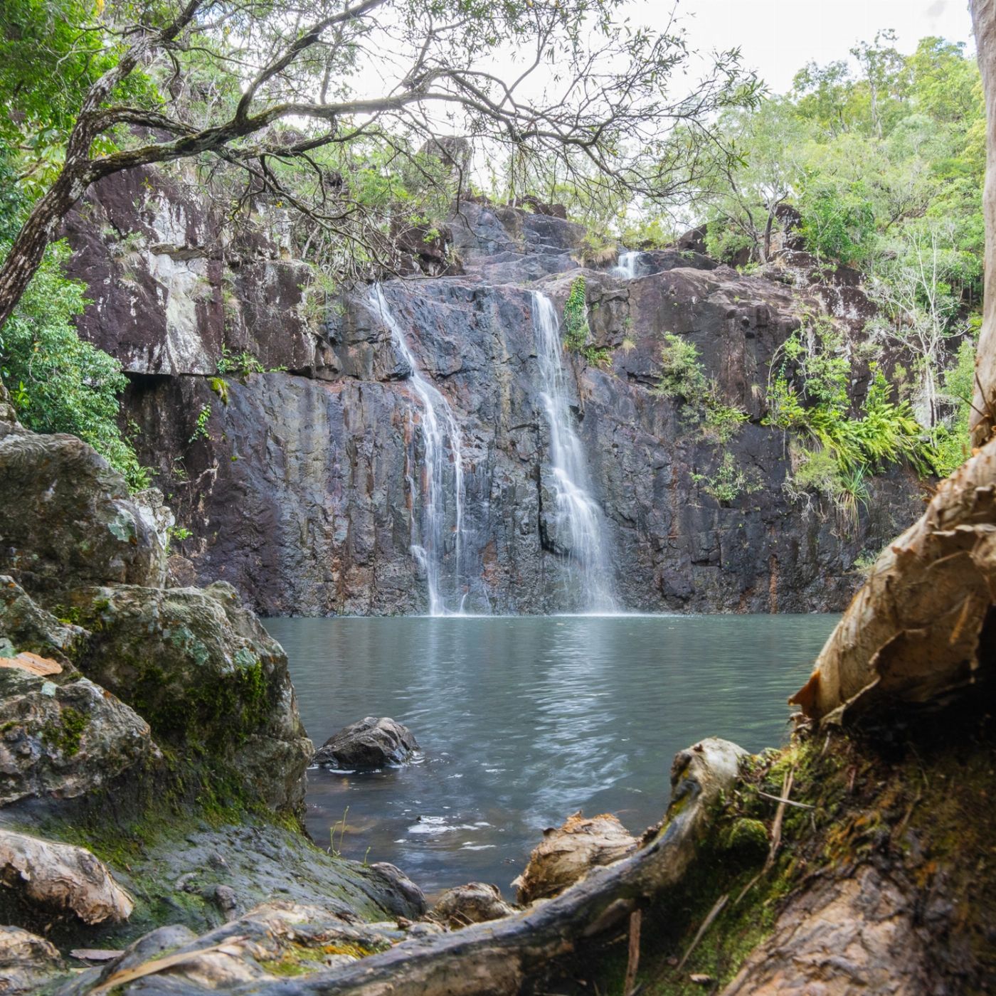 Airlie Adventure Tours Cedar Creek Express