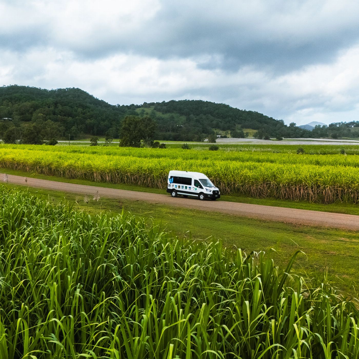 Airlie Adventure Tours Cedar Creek Express