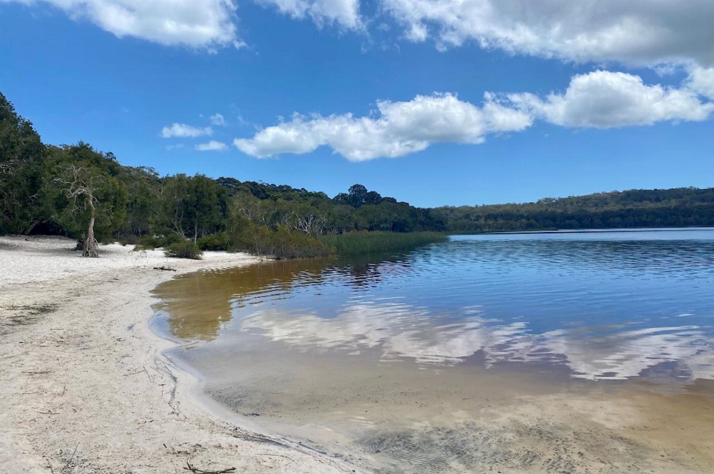 Hit The Road Tours North Stradbroke Island Small Groups Day Tour