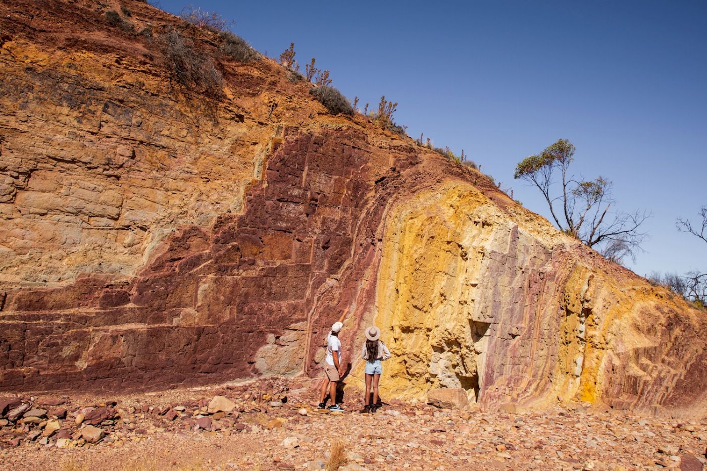Autopia Tours Kings Canyon & West MacDonnell Ranges - 4WD Eco Tent Adventure (from Yulara / ends Alice Springs)