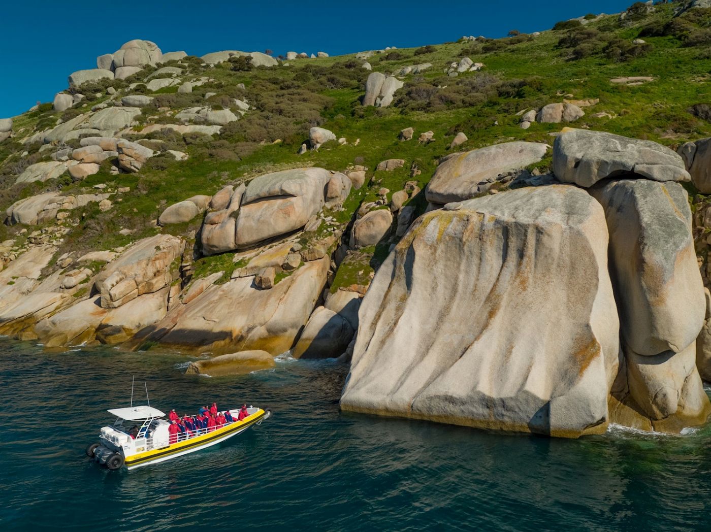 Wanderer Adventures Wilsons Promontory Wilderness Cruise 11am