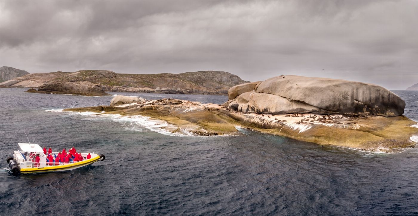 Wanderer Adventures Wilsons Promontory Wilderness Cruise 11am