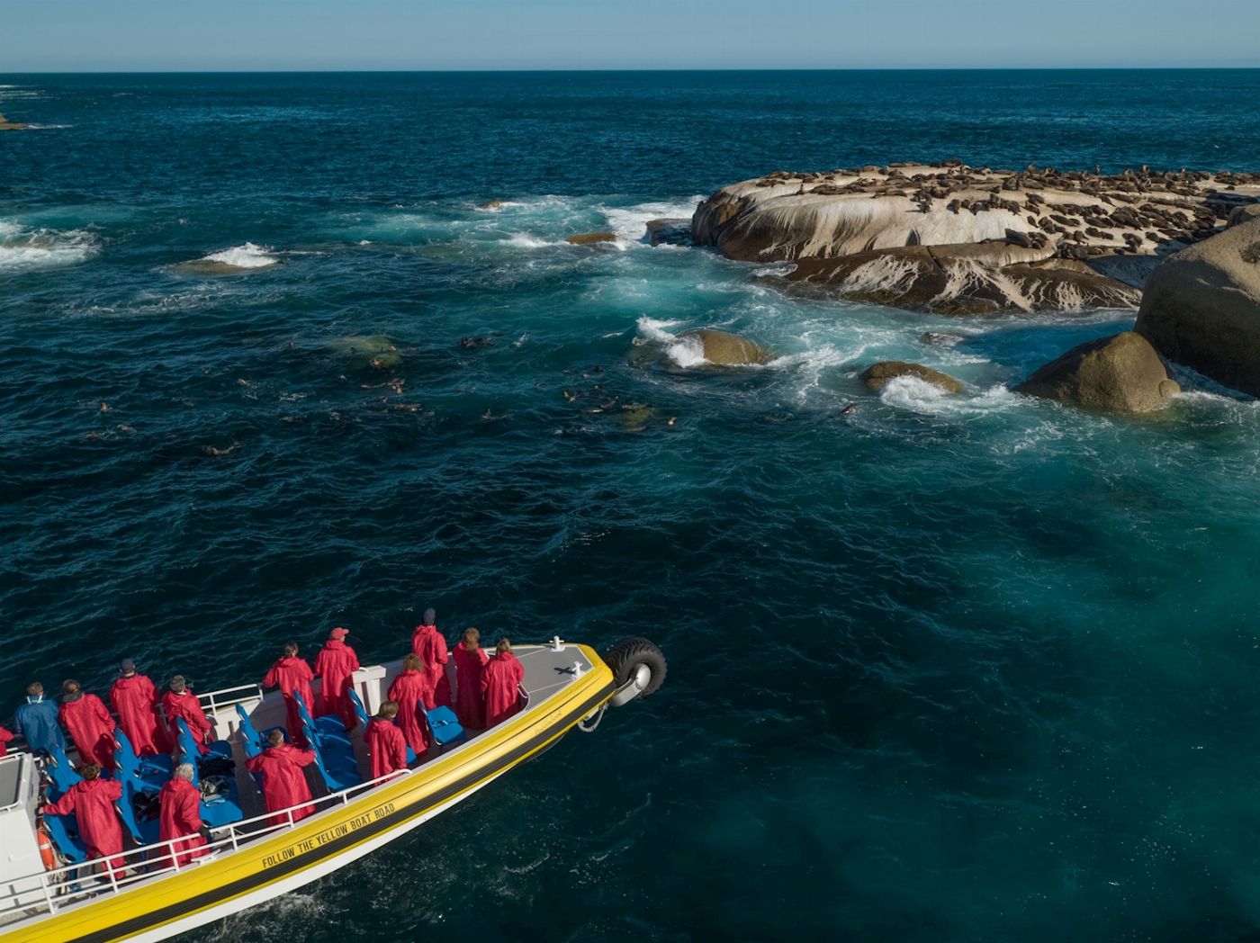 Wanderer Adventures Wilsons Promontory Wilderness Cruise 11am