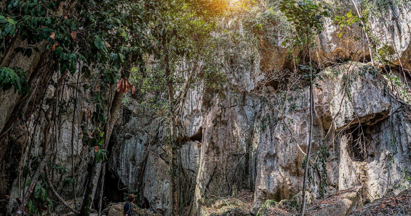 Capricorn Caves Cathedral Cave Tour
