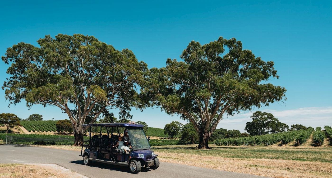 Lambert Estate Wines Lambert's Vineyard E-Cart Tours