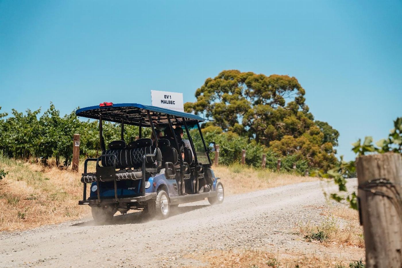 Lambert Estate Wines Lambert's Vineyard E-Cart Tours