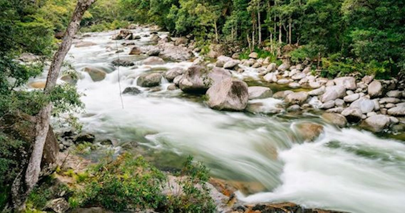 Daintree Experience Beauty Valley Waterfall Wonderland Walk, Magical Swim and Gourmet Lunch
