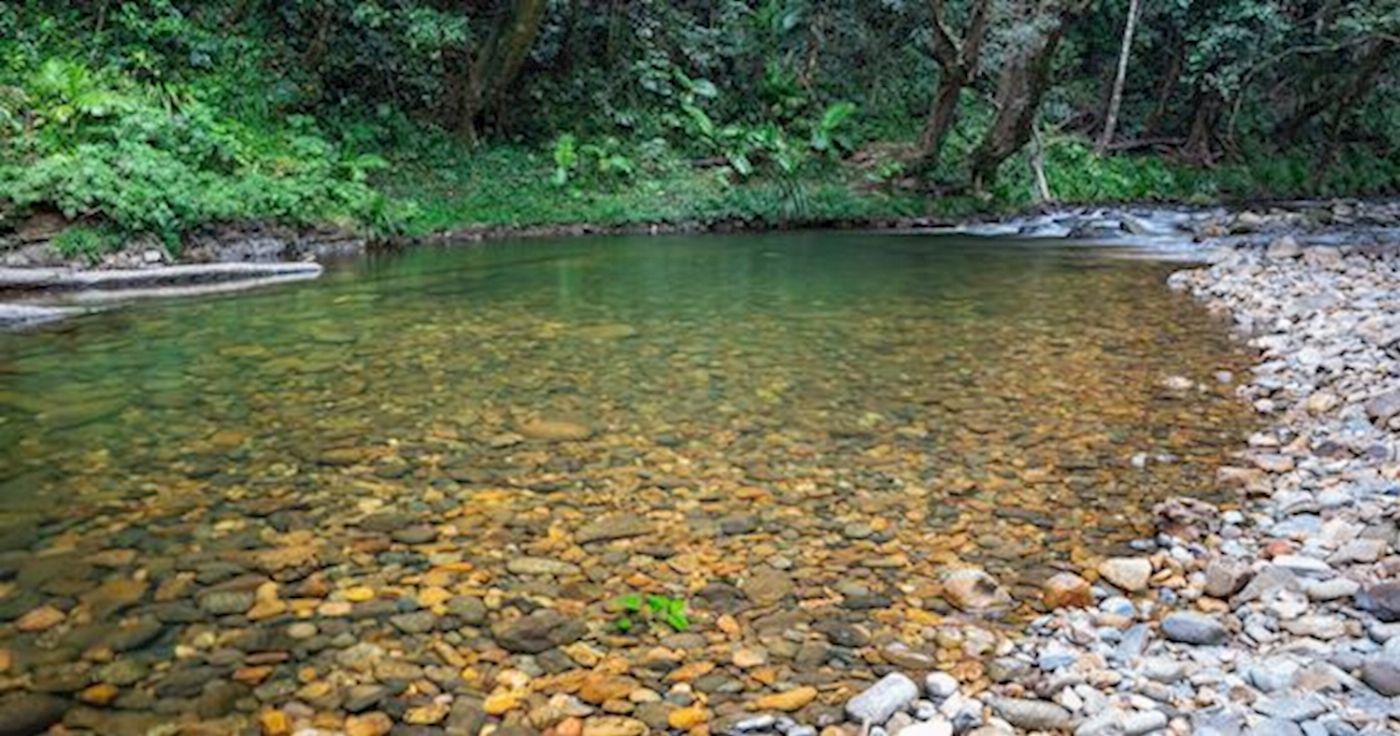 Daintree Experience Beauty Valley Waterfall Wonderland Walk, Magical Swim and Gourmet Lunch