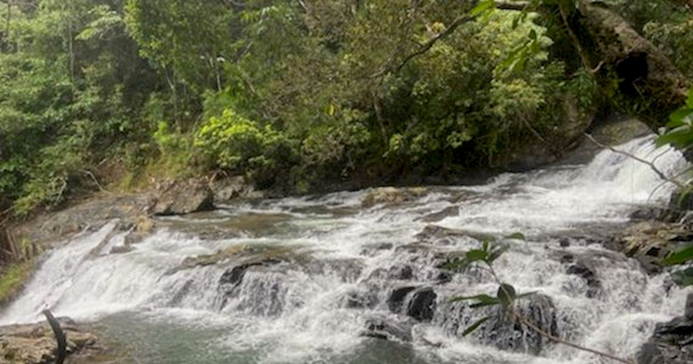 Daintree Experience Beauty Valley Waterfall Wonderland Walk, Magical Swim and Gourmet Lunch