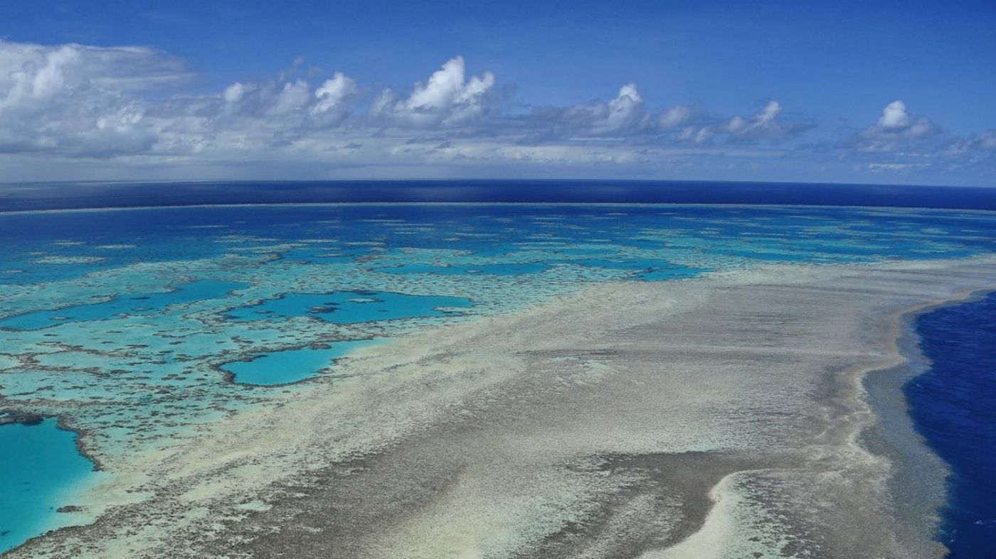 Whitsunday Air Tours Reef & Island Scenic Flight