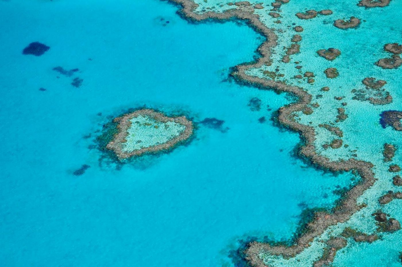 Whitsunday Air Tours Reef & Island Scenic Flight