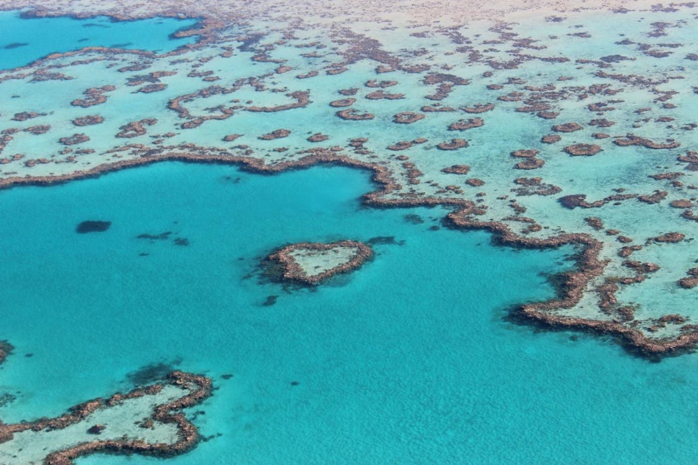 Whitsunday Air Tours Reef & Island Scenic Flight