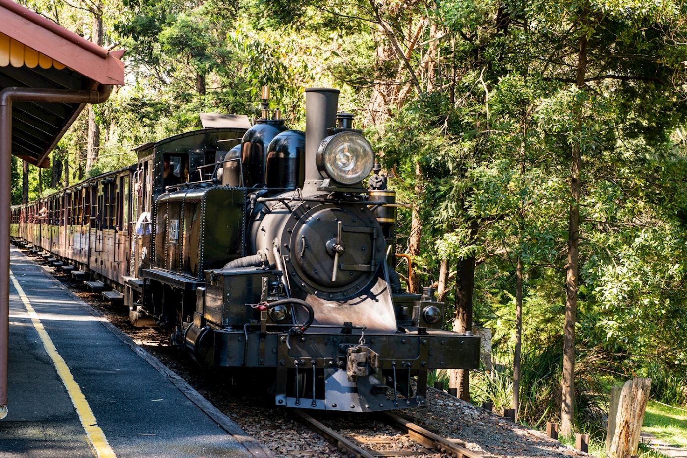 Explore Australia Puffing Billy & Wildlife Tour