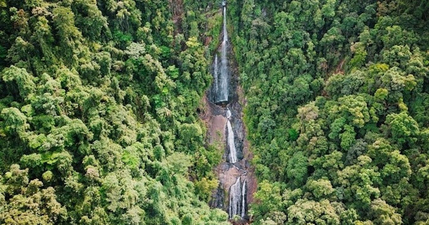 Daintree Experience Group of 4+ Rate: Beauty Valley Waterfall Wonderland Walk, Magical Swim and Gourmet Lunch
