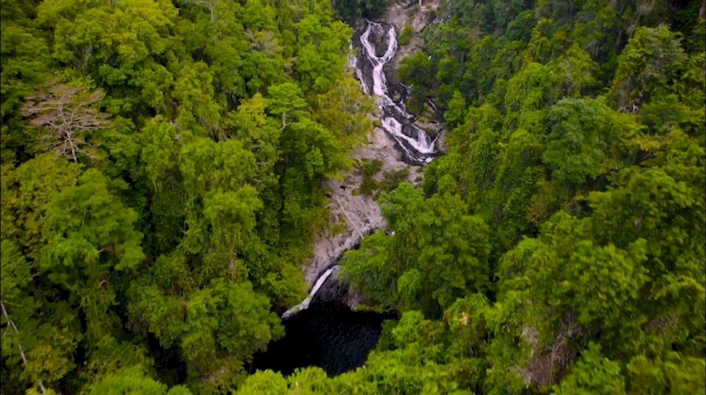 Daintree Experience Group of 4+ Rate: Beauty Valley Waterfall Wonderland Walk, Magical Swim and Gourmet Lunch