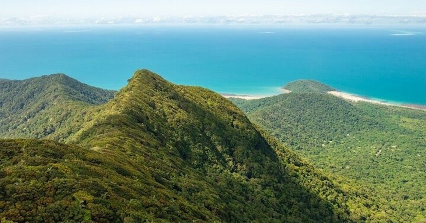Daintree Experience Group of 4+ Rate - Beauty Valley Waterfall Walk, Magical Swim, Gourmet Lunch and Crocodile River Cruise