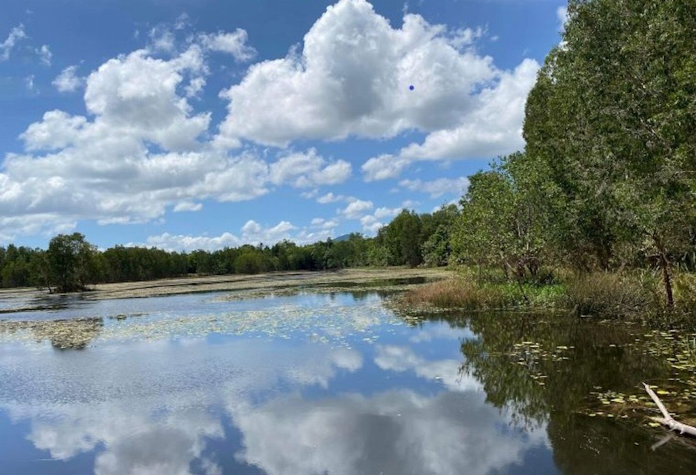 Down Under Tours Waterfall, Wetlands and Skyrail WWS