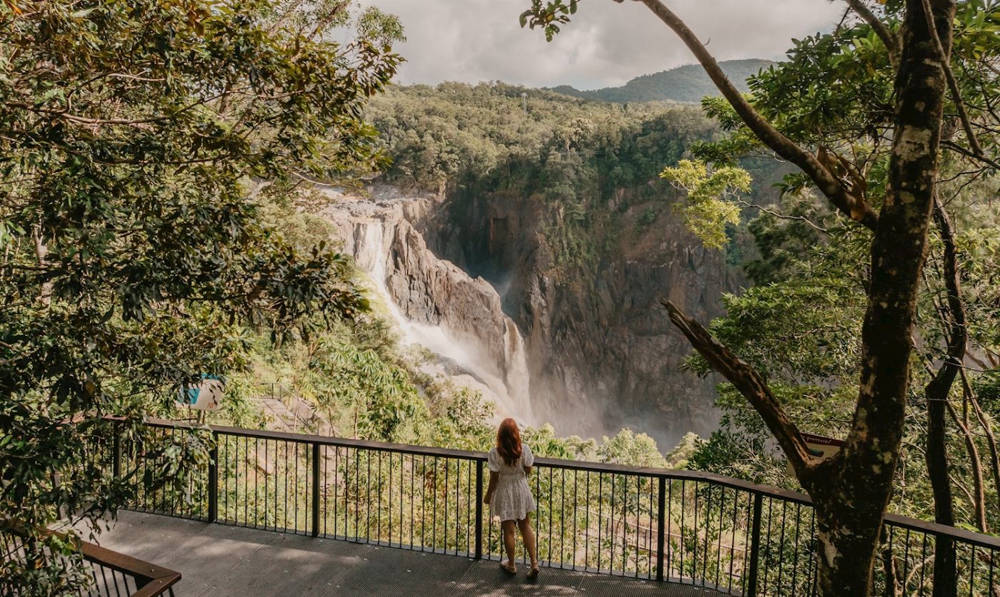 Down Under Tours Waterfall, Wetlands and Skyrail WWS