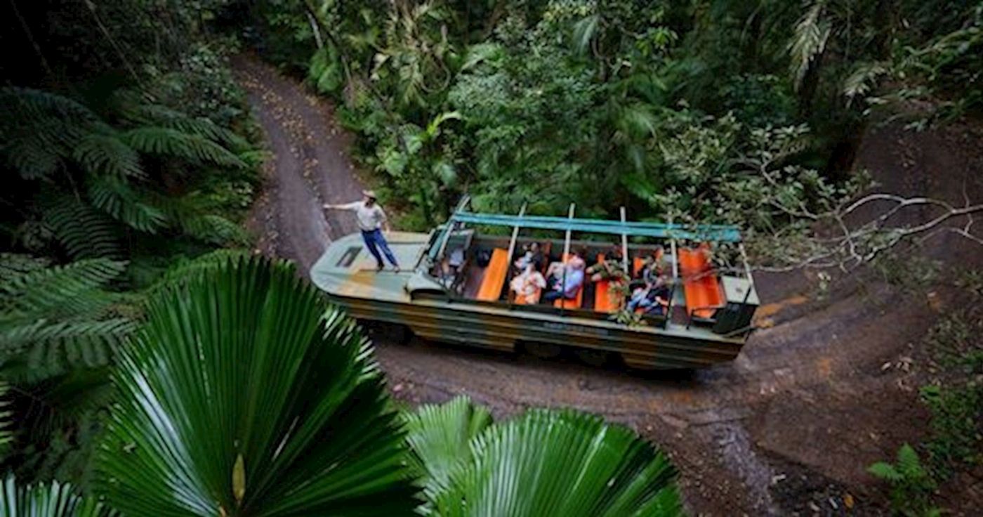 Tropic Wings Kuranda Deluxe with Skyrail & Butterflies - SALE