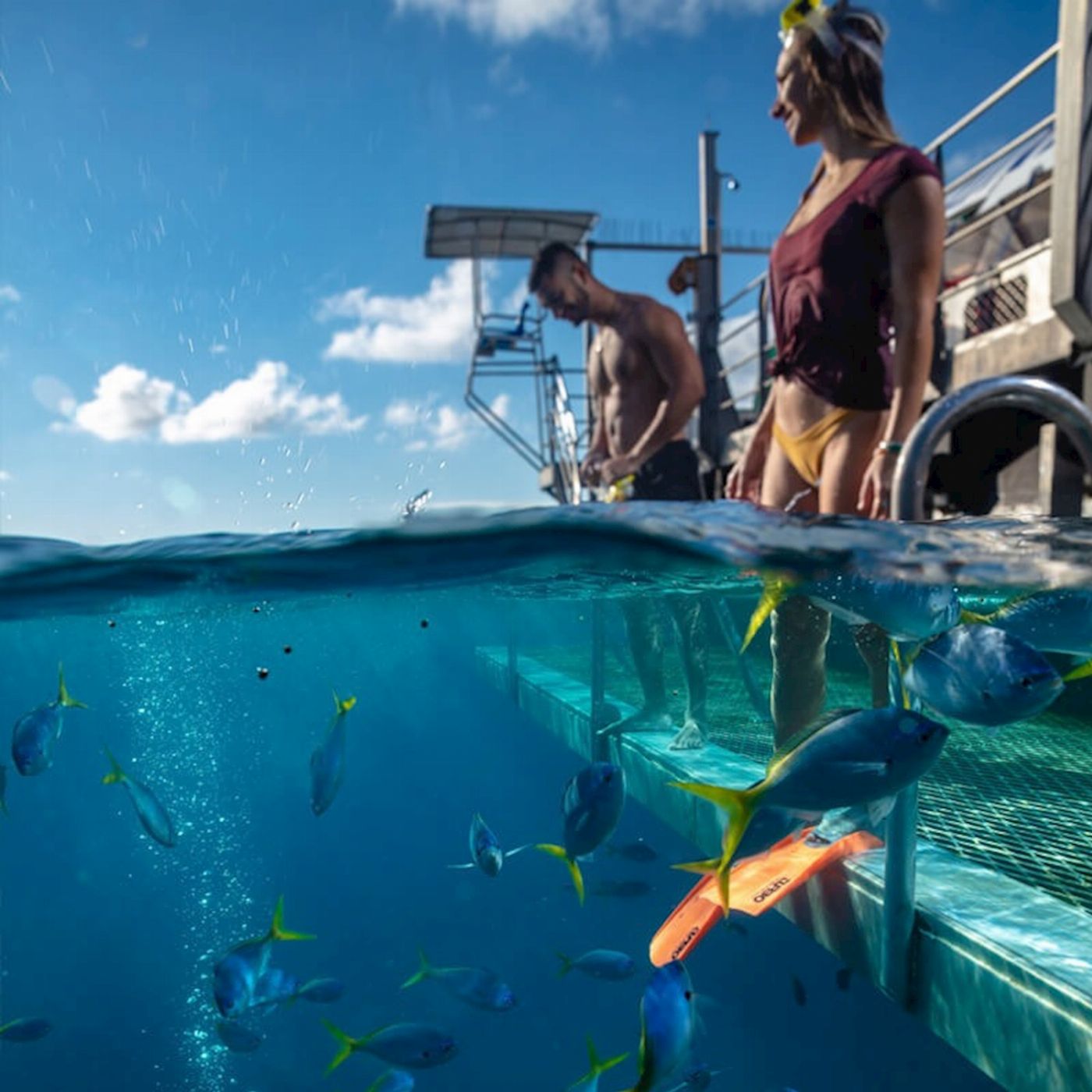 Sunlover Reef Cruises Moore Reef Pontoon Day Tour + Helicopter Ride (Family2A/2C) - Until 31 March 2027