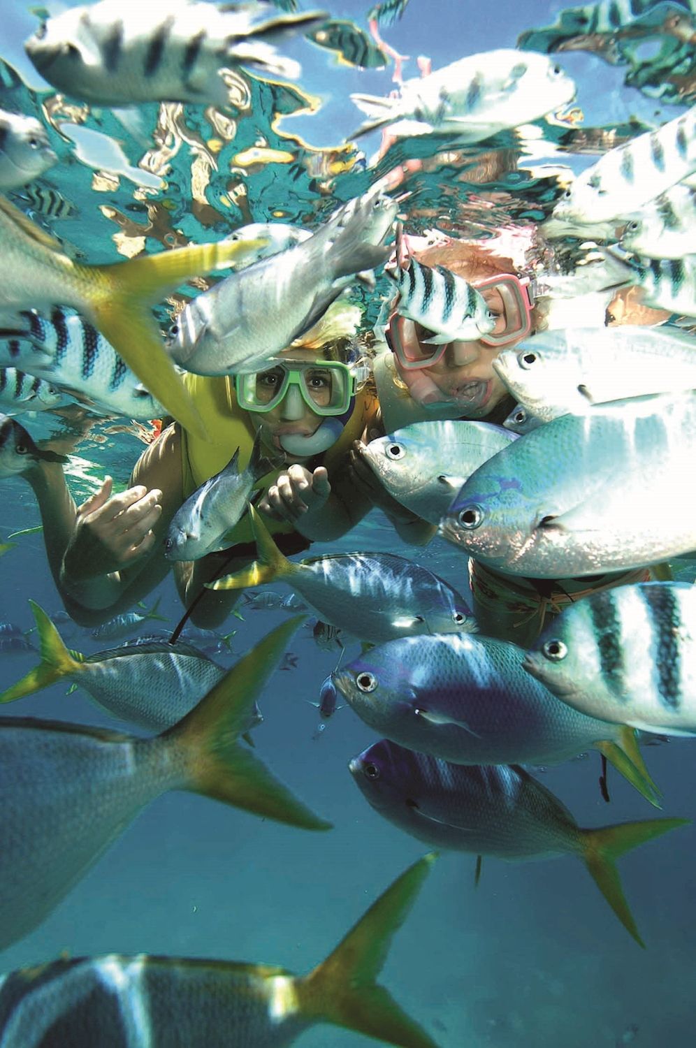 Sunlover Reef Cruises Moore Reef Pontoon Day Tour + Helicopter Ride (Family2A/2C) - Until 31 March 2027