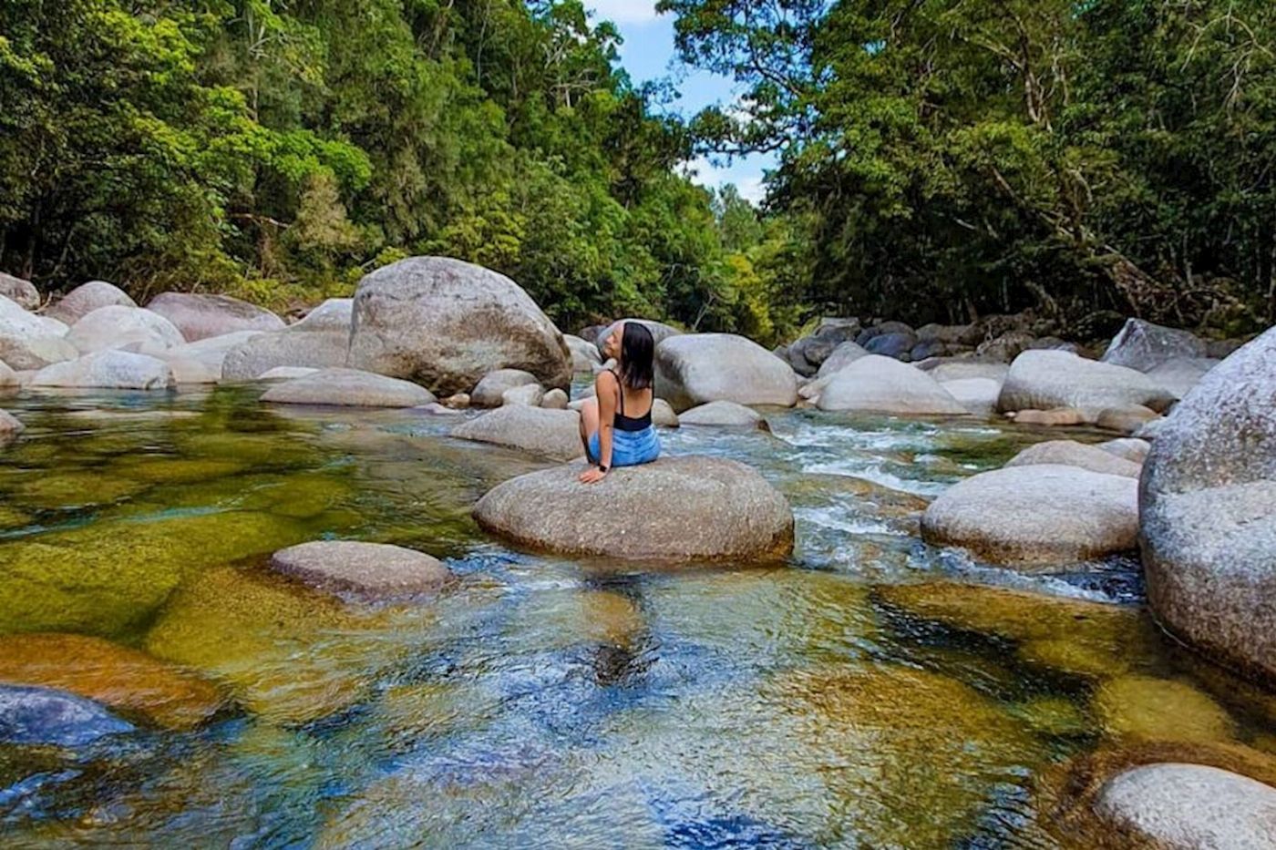Tropic Wings Daintree, Mossman Gorge & Wildlife Tour