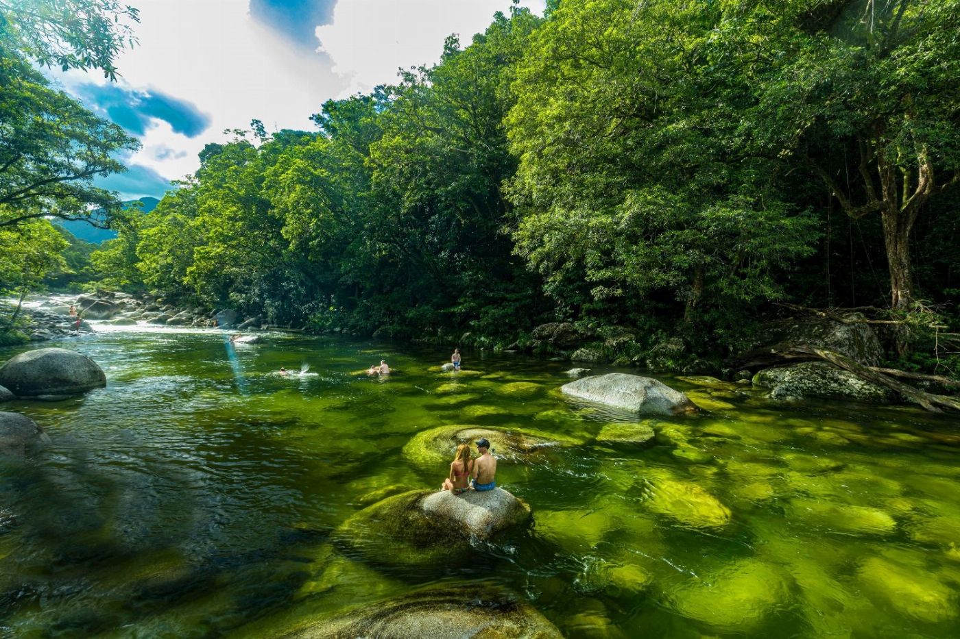 Tropic Wings Daintree, Mossman Gorge & Wildlife Tour