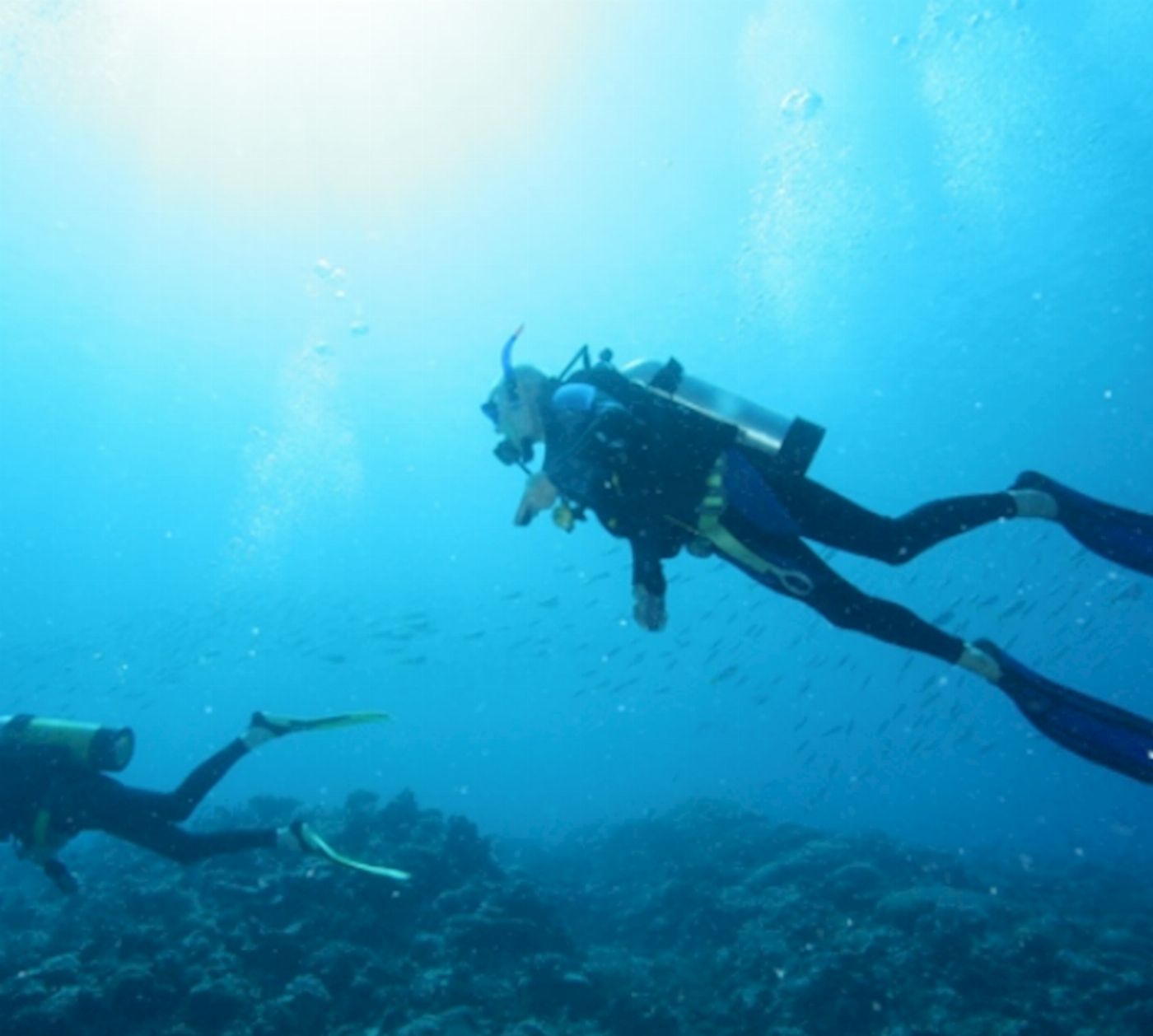 Explore Group Australia Full Day Cert Dive the Great Barrier Reef from Shute Harbour