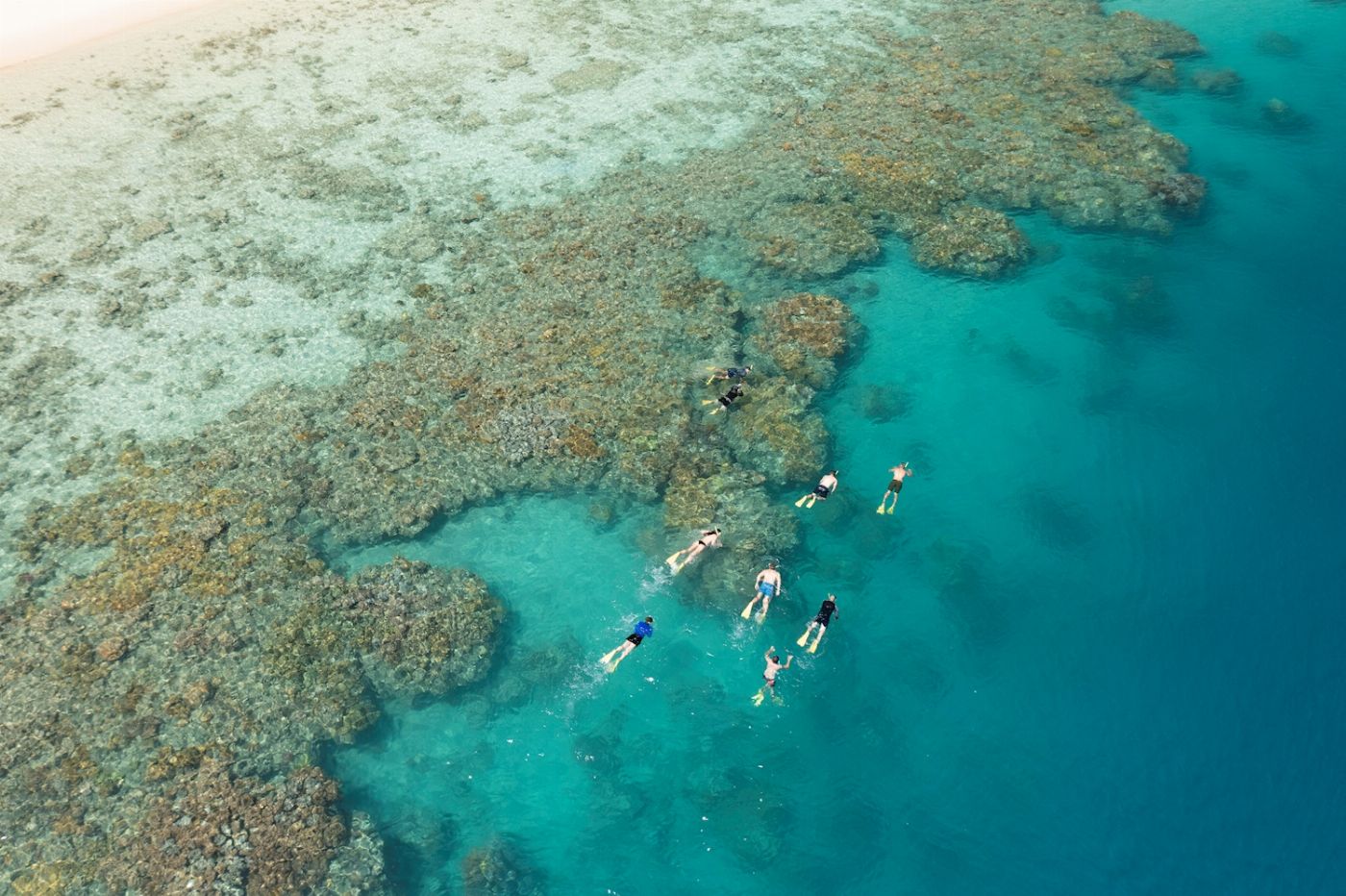 Explore Group Australia Full Day Cert Dive the Great Barrier Reef from Shute Harbour