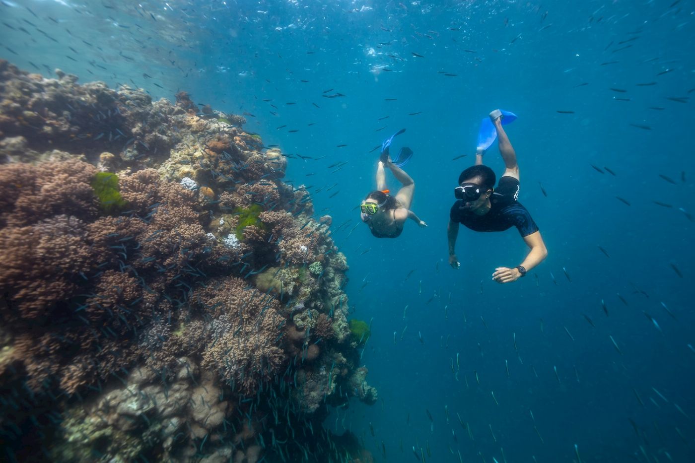 Explore Group Australia Full Day Airlie Beach Snorkel - From Shute Harbour