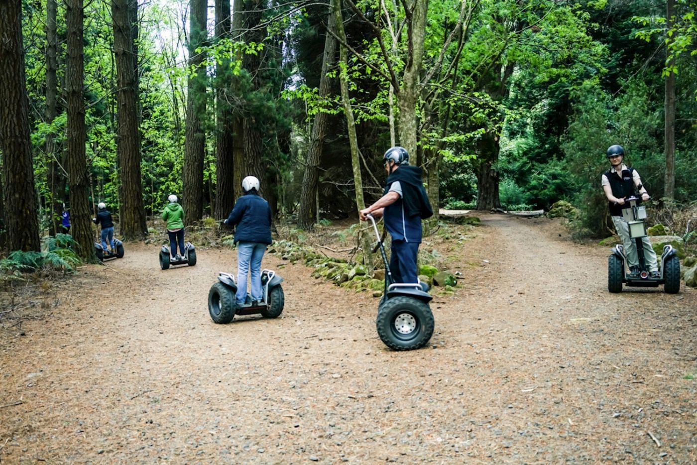 Treetops Adventure Hollybank Segway Tour