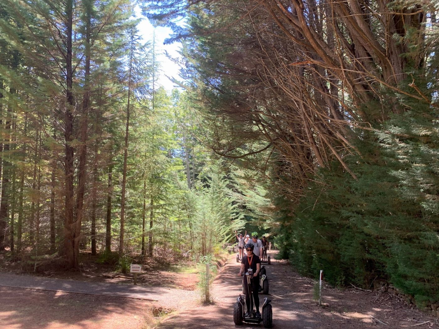 Treetops Adventure Hollybank Segway Tour