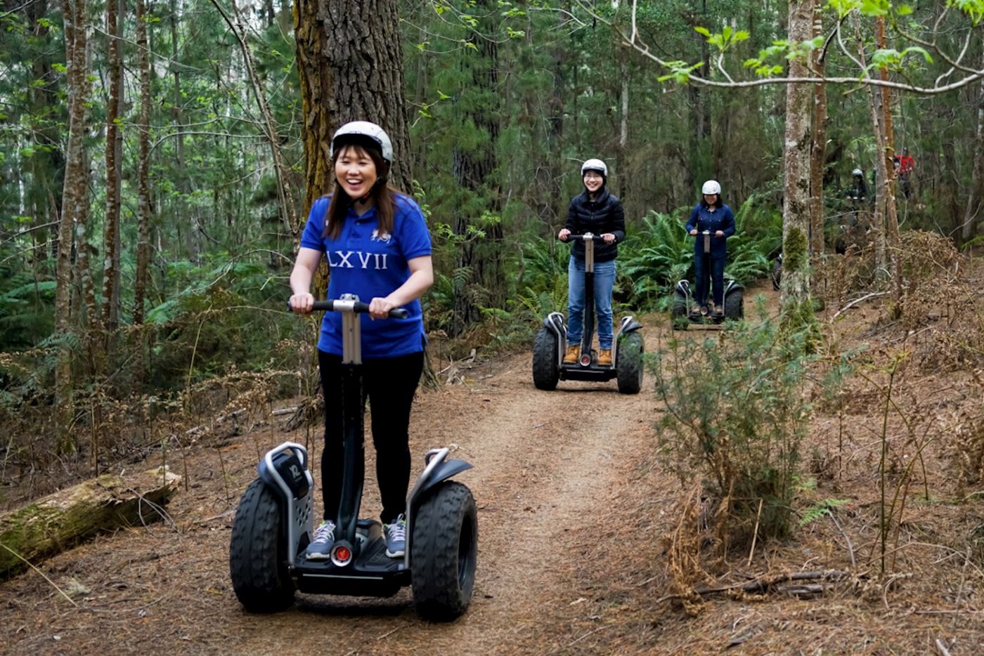 Treetops Adventure Hollybank Segway Tour
