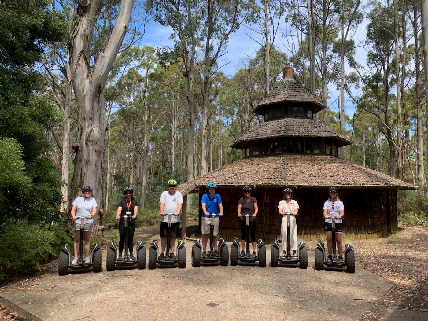 Treetops Adventure Hollybank Segway Tour