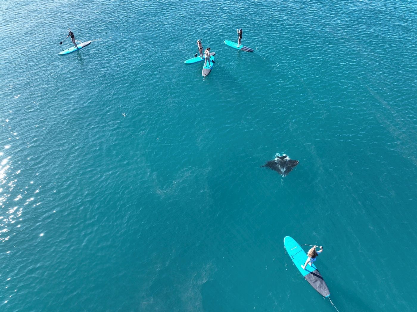 Wings Sailing Charters Whitsundays Full Day Whitsundays Private Charter 16-29 guests