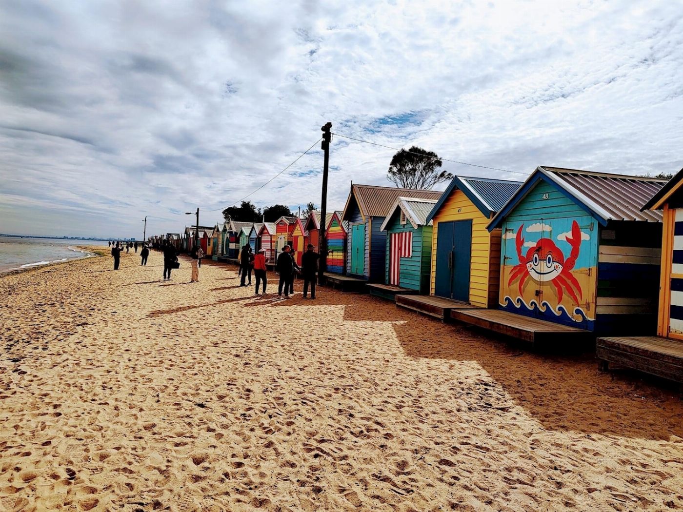 Oceania Tours City Highlights
