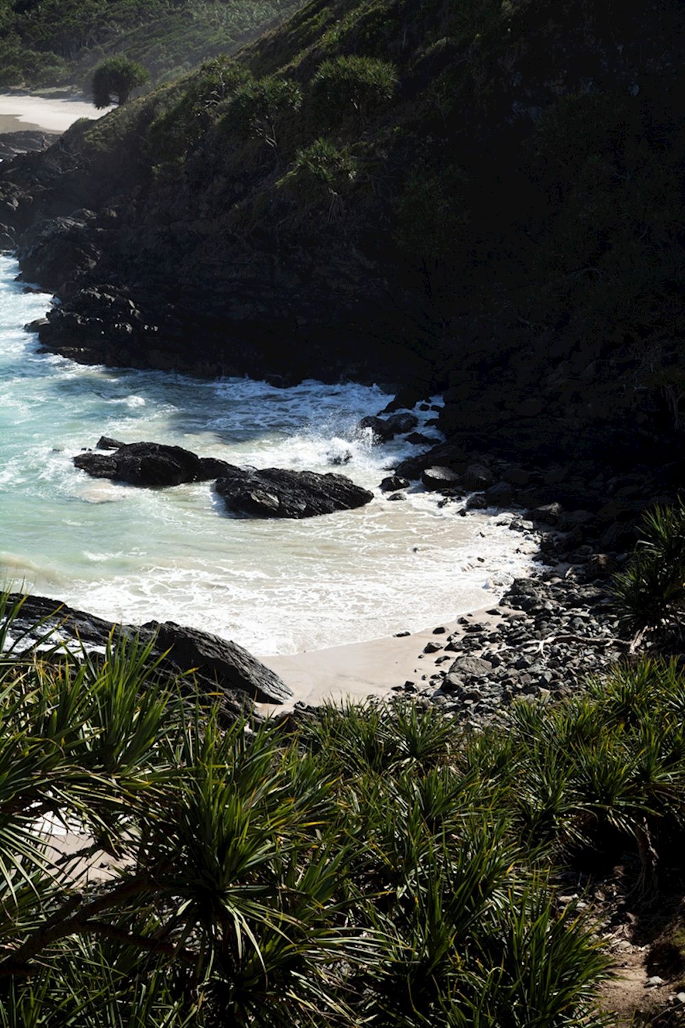 Explore Byron Bay Broken Head Tours