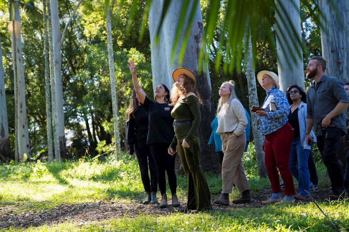 Explore Byron Bay Bangalow Bush Tucker Tours