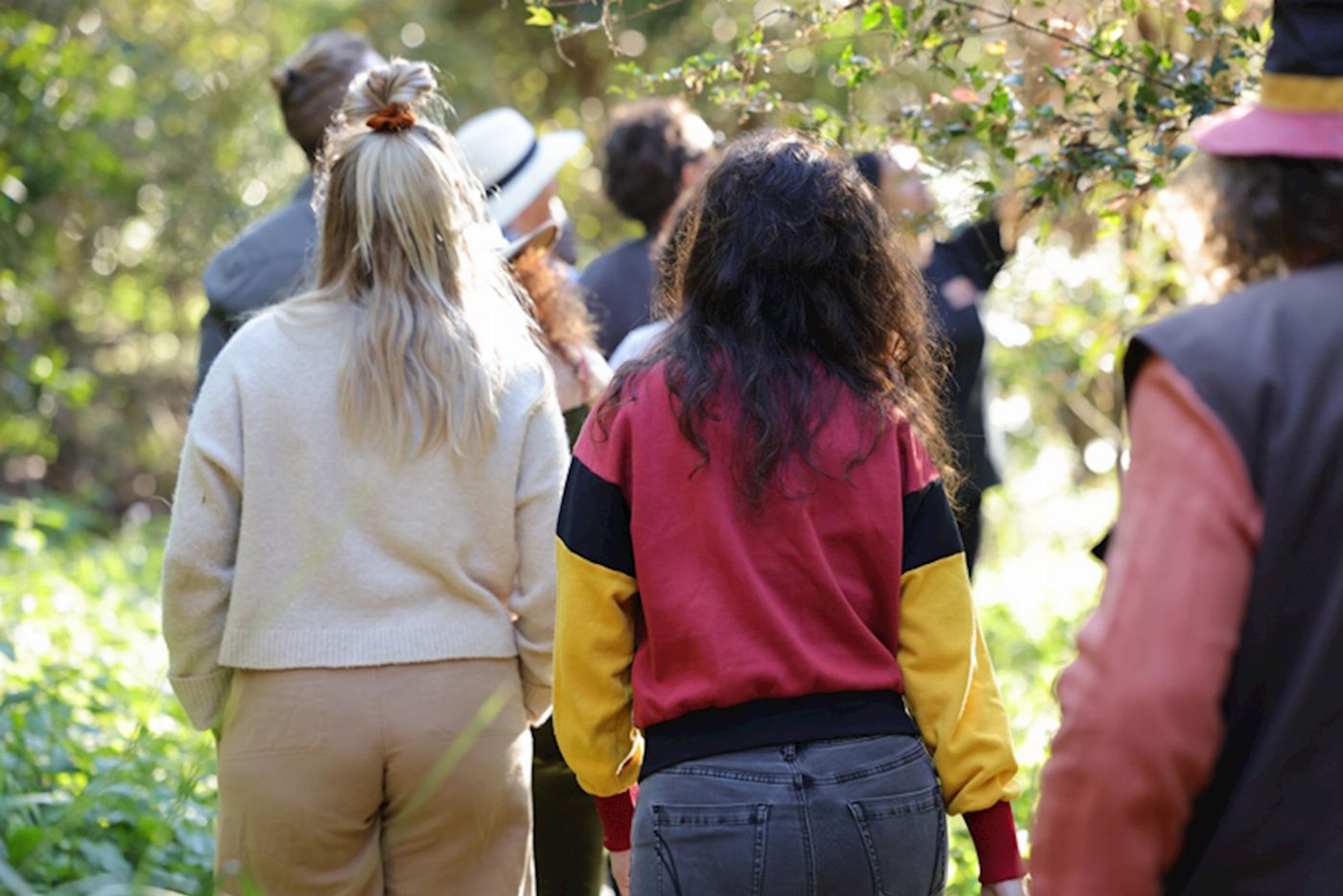 Explore Byron Bay Bangalow Bush Tucker Tours