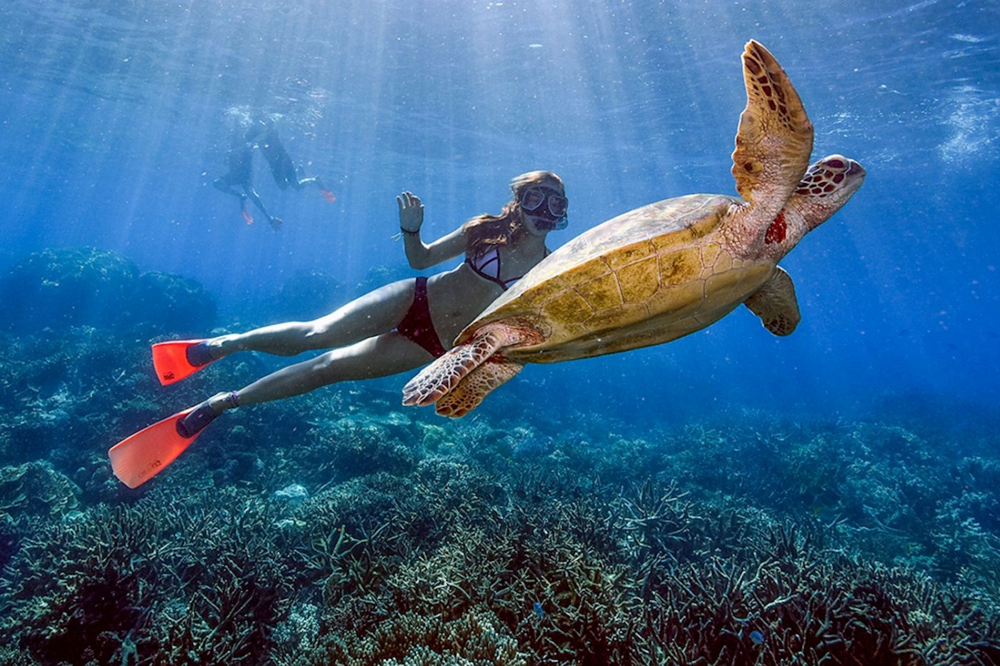 Reef Magic Pontoon + Guided Snorkel Tour/Safari - ex Reef Fleet